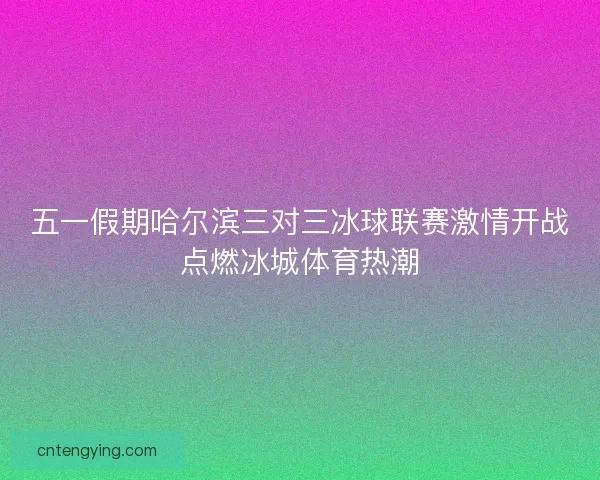 五一假期哈尔滨三对三冰球联赛激情开战点燃冰城体育热潮
